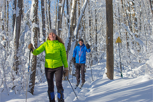 Adult Learn to Cross Country Ski                                                                                                